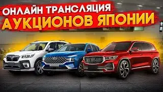 Онлайн трансляция с автоаукционов Японии, что купить из топовых вариантов автомобилей без утильсбора
