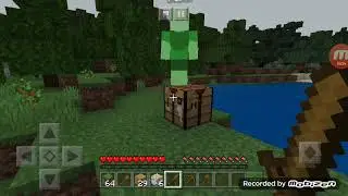 Survival กับน้องครับ