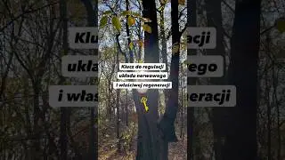 POWER BRAKE - klucz do regeneracji