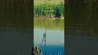 LIVE🔴SPRING🎣FISHING 2024