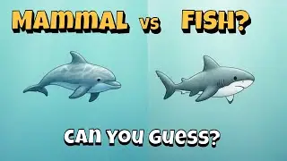 Mammal vs Fish 🐬🦈 | Can You Guess? | Ocean Animals Quiz for Kids