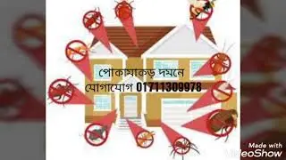 Pest control service Dhaka