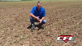 Corn & Soybean Stands