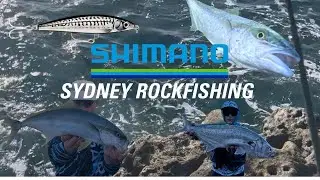 Sydney rock fishing (kingfish bonito tailor...)