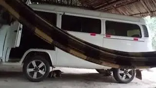 Novos patinhos no camping do gordinho da BR 319 km 298