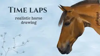 Drawing a horse in time lapse | realistic horse portrait with color pencils