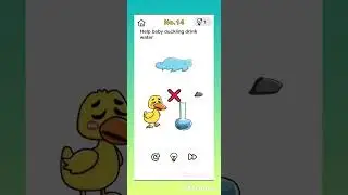 brain games  with  brainout