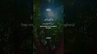 #alquran