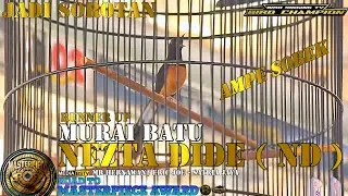 AMPE SOBEK SEREM ‼️ MURAI BATU NEZTA DIDE (ND) MATERI TAJAM VL CETAR ‼️ SATRIA JAYA TEAM