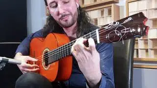 Flamenco Guitar for sale 