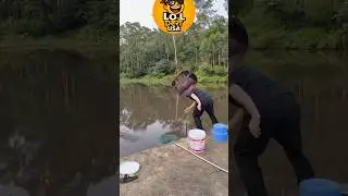 LOL Desi USA 🤣 🤣 desi comedy in usa || funny nri life || hindi comedy usa ||bhojpuri short videos