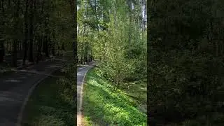 Красивое утро #yoga #elvirushka #meditation #love #live #здоровье #nature #relax
