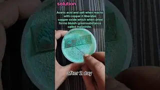 acetic acid + salt + copper metal chemical reaction #shorts #trending #chemistry