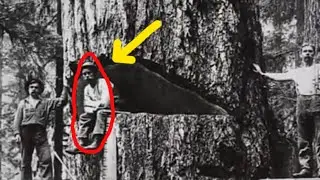 Top 100 Historical Picture That Will Change How You View the past!