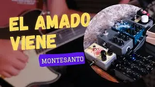 el amado viene / montesanto / acordes/solos/gear