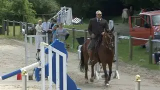 ARAMIS --- Gernot Weber --- DM Working Equitation --- Juli 2017