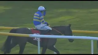 WHAT A RACE THIS WAS IN THE END ....WOW....