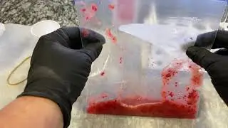 DNA Extraction from Strawberries Lab