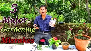 5 Biggest Gardening Mistakes You Should Never Do While Gardening.