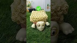 What do you want me to put on top of this turtle? #turtlecoaster #turtle #coaster #9