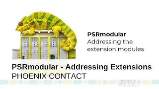 PSRmodular - Addressing the Extension Modules