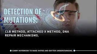 Detection of mutations: CLB method, Attached X method, DNA repair mechanisms.