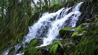 Waterfall & Rain Sounds in Peaceful Forest | Relax or Study to Water White Noise