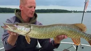 Hechtalarm an den Bodden garniert mit Zandern