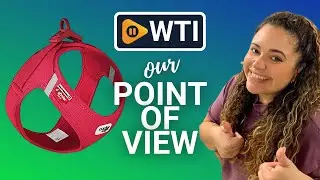 Curli Vest Harness for Dogs | Our Point Of View