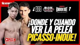 ESTO es TODO lo que TIENES que SABER para SEGUIR la PELEA de  NAOYA INOUE vs ALAN DAVID REY PICASSO