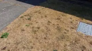 Heatwave 2018