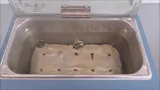 VWR 5L Water Bath