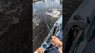 Снук ВДЫХАЕТ поверхностную воду под доком!