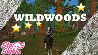 ⭐ALLE Sterne in WILDWOODS (sortiert)/ ALL Stars in WILDWOODS (correct order| SSO