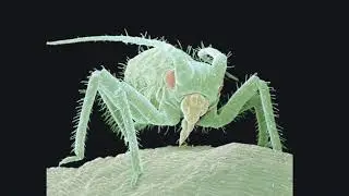 Micro world of Sand