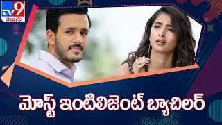 Most Eligible Bachelor Pre Teaser  Akhil Akkineni as Harsha aiming for a work life balance - TV9