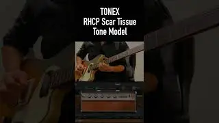 John Frusciante Scar Tissue Tone Model Demo Music 3 [TONEX] #shorts #guitar