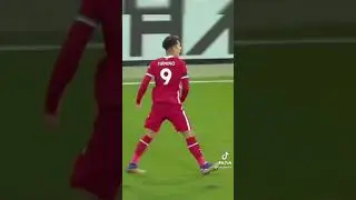 Where Dynamic images come from Firmino