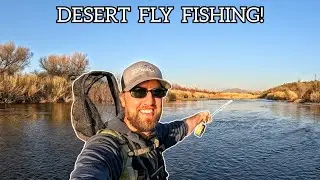 Fly Fishing a BEAUTIFUL Desert River for TROUT! (Salt River, Arizona)