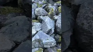 #talus #scree #landslide #maddogmountainarts #videos #video #mdmarts #rockhounders #mountains #abcd