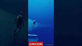 That's one big fish🐠 #thalassophobia #nightmare #ghost #fyp #giant #monster #horrorstories