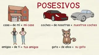Aprender español: Formas de los posesivos átonos (nivel básico)