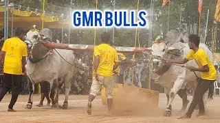 💥నరసరావుపేట గ్రామం💥 న్యూ క్యాటగిరి విభాగం💥 3వ జత💥GMR BULLS💥