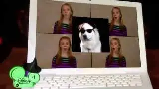 Dog With A Blog - The Bow-wow Video