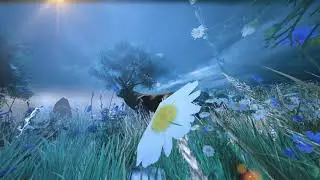 Flowscape Wild Dreams (U pastore di Ghisoni)