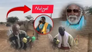 NDIGUEL KHALIFE G&Eacute;N&Eacute;RAL DES BAYE FALL DIEUM SI WA ALALI MAME CHEIKH IBRAHIMA FALL 
