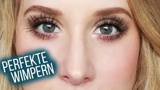 PERFEKTE & VOLUMINÖSE WIMPERN - Meine Tipps & Tricks I Maren Vivien