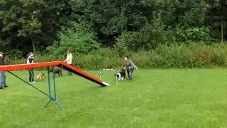 Djo Agility(kattenloop) Hondenschool Speed Almere d.d. 02-08-2010