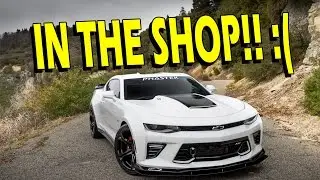 Car Update: NO CAR FOR A WEEK?!?!