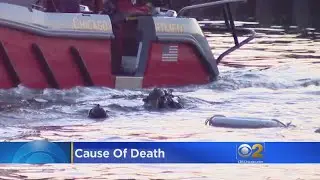 Chicago Fire Diver Who Died During River Rescue Had Rare Heart Condition
